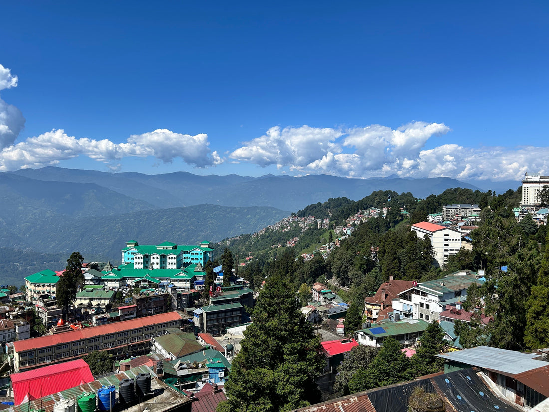 The Land That Grows the Tea that Belongs to No One Who Picks It.