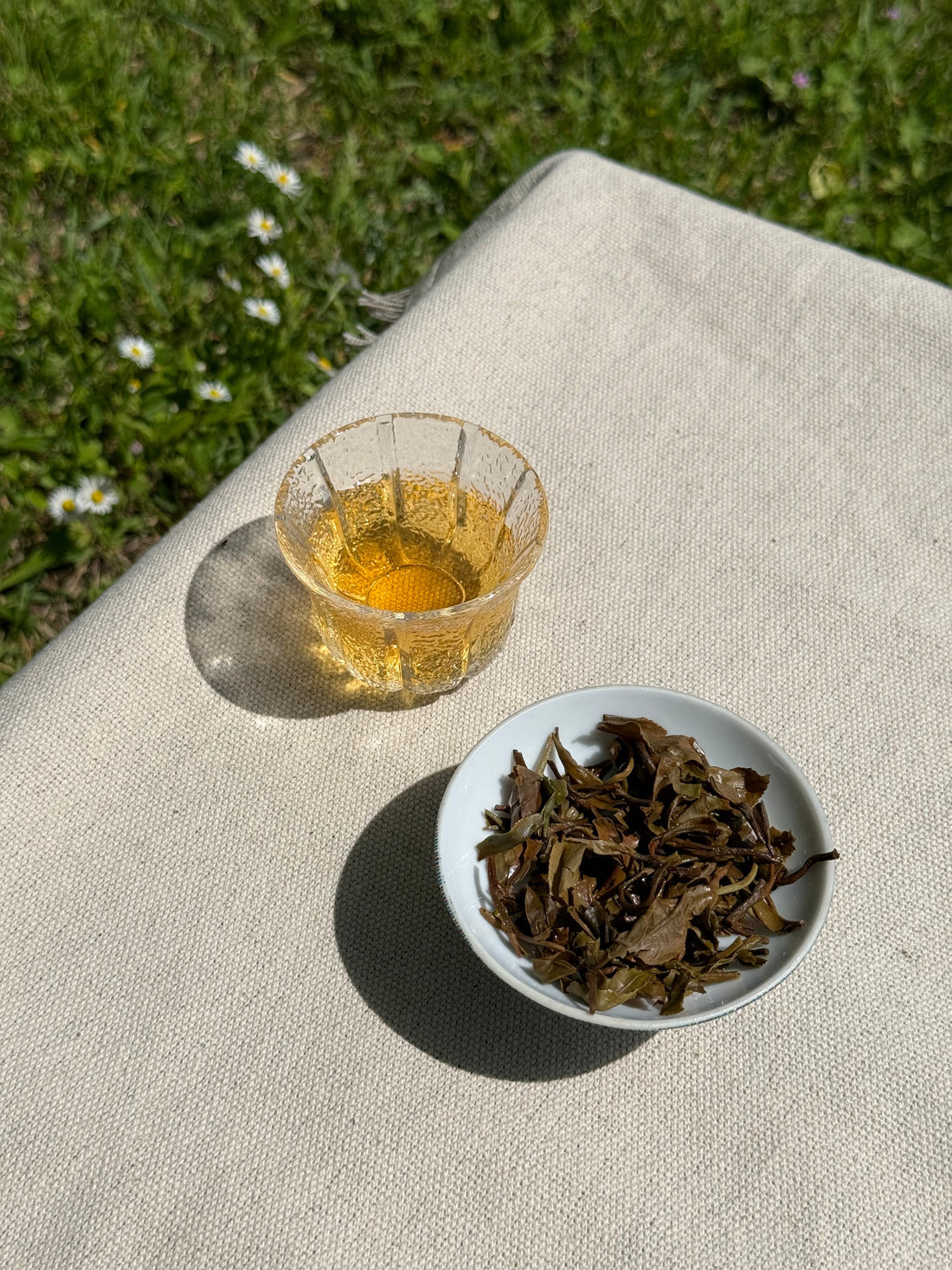 Spring Blossom first flush brewed in a glass cup, pale gold liquor, beside spent green leaves