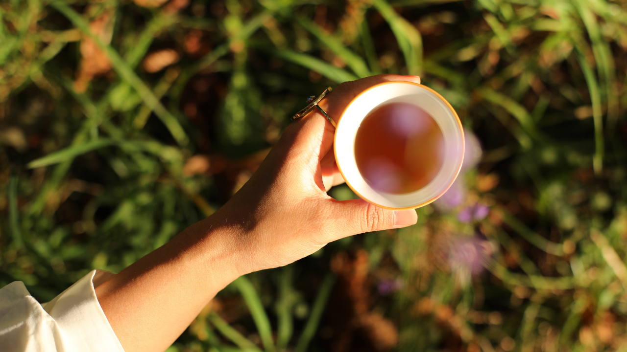 A hand holding a white cup of amber tea up against sunlit grass