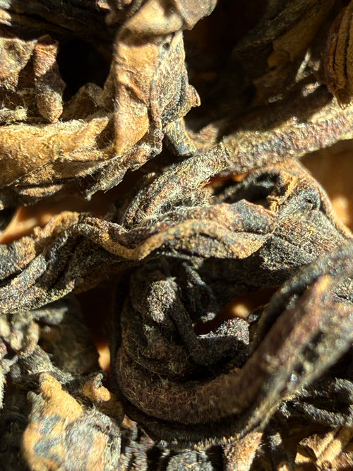 Macro close-up of dry Himalayan GABA Oolong leaves, dark and twisted with a dense covering of fine hairs