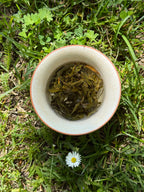 Whole First Flush tea leaves brewing in a white ceramic cup - Spring Set, March 2026 Himalayan harvest