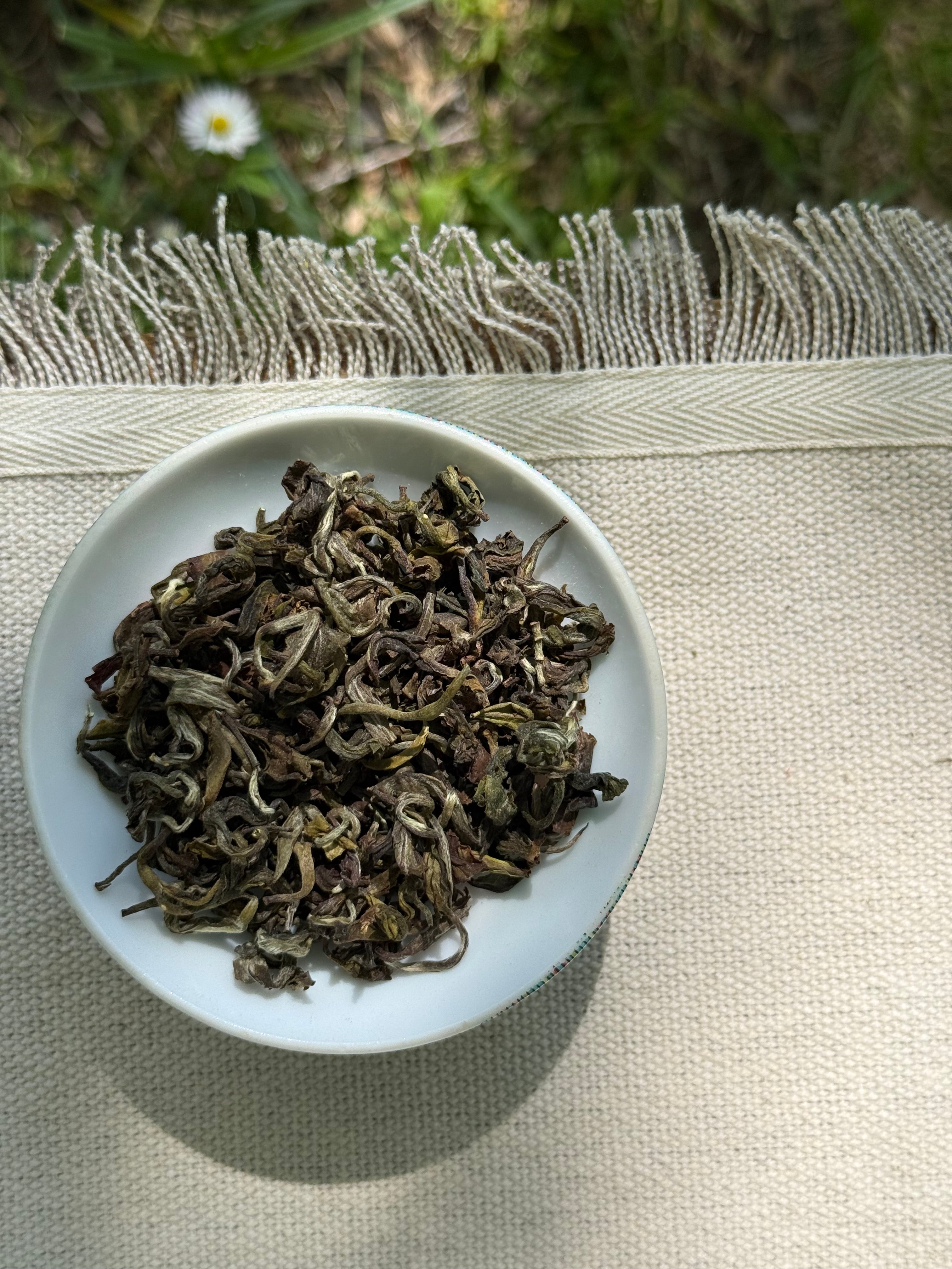 Whole loosely rolled Spring Moonlight P312 First Flush tea leaves with silvery buds on a white ceramic plate