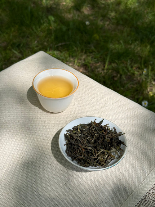 Spring Delight First Flush pale golden liquor in a ceramic cup beside whole leaf Himalayan tea on linen