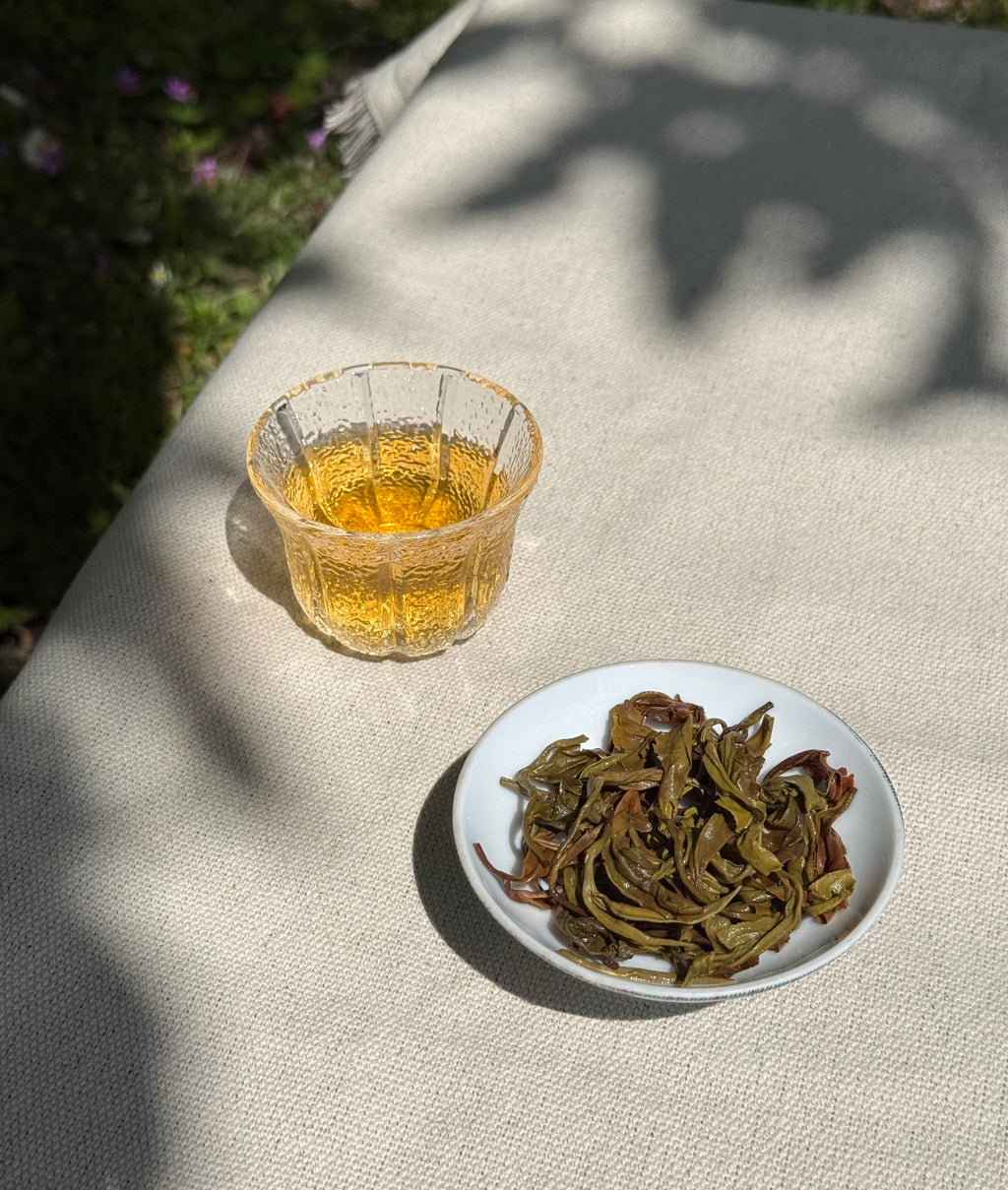 Spring Moonlight P312 First Flush brewed in a glass cup alongside whole loose leaf tea on a linen surface