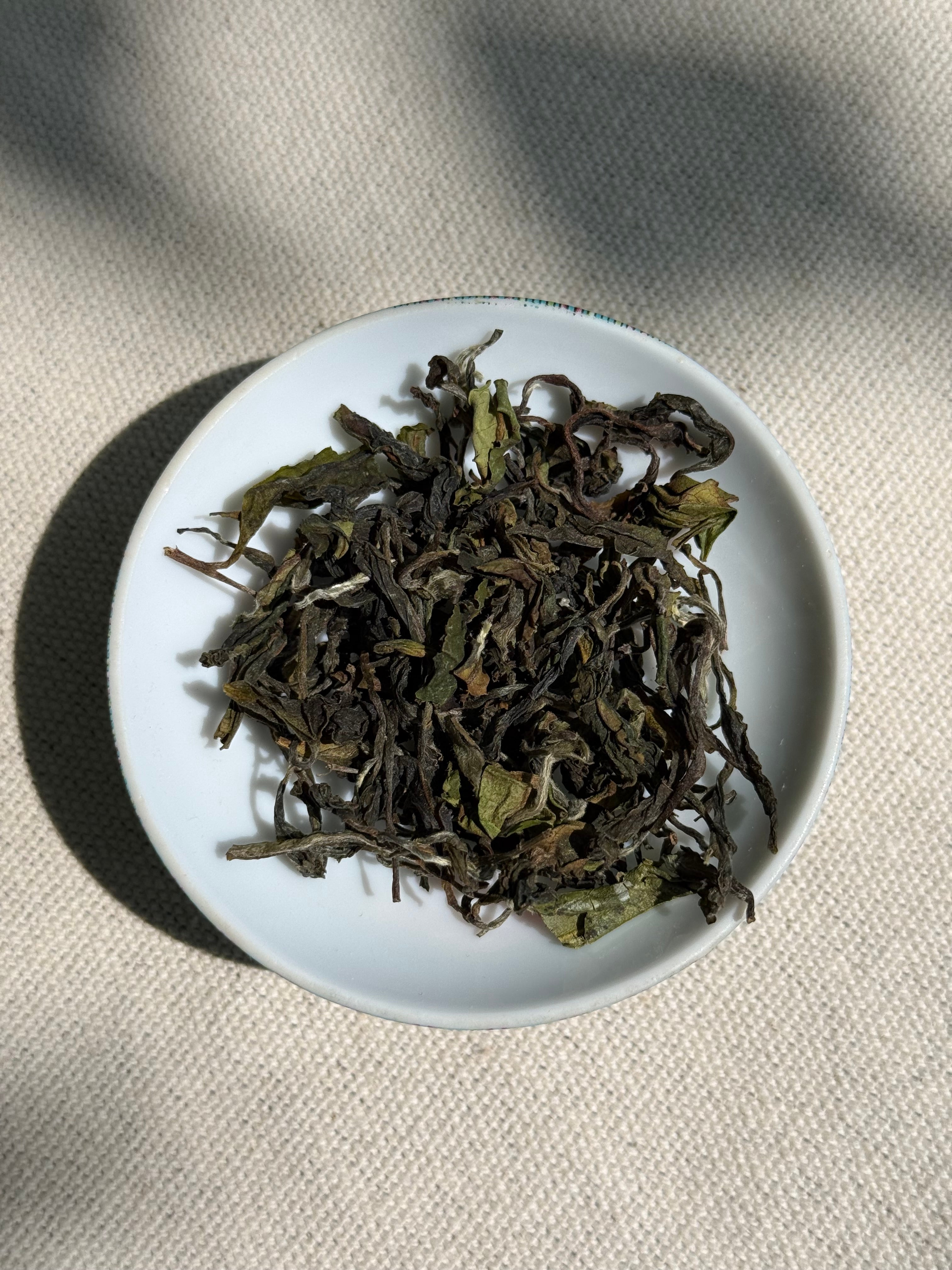 Wiry Spring Blossom AV2 First Flush tea leaves with silvery fuzzy tips on a white ceramic plate in natural light