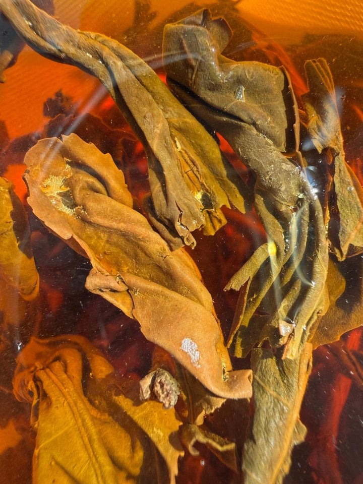 GABA Oolong