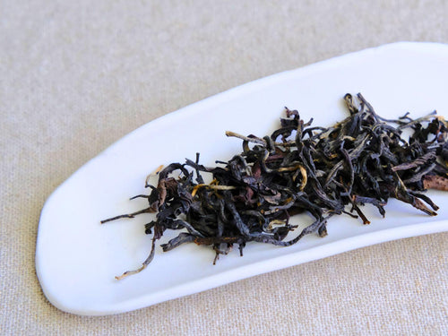 Dry leaves of Pine Forest, a charcoal-roasted black tea with notes of smoky wood, on a white ceramic tea scoop