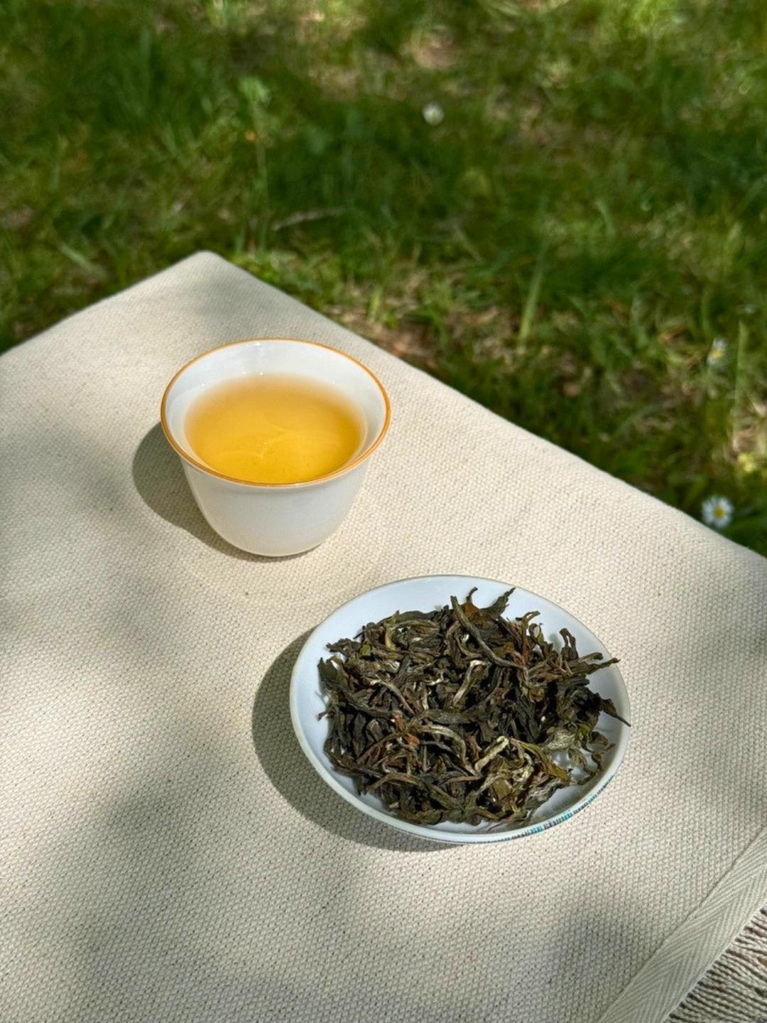 Spring Delight First Flush pale golden liquor in a ceramic cup beside whole leaf Himalayan tea on linen