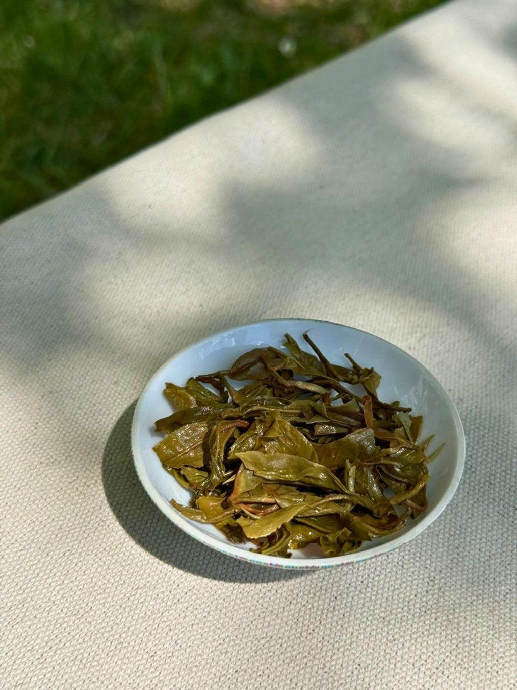 Spring Delight First Flush brewed whole leaf Himalayan tea on a white plate in natural sunlight