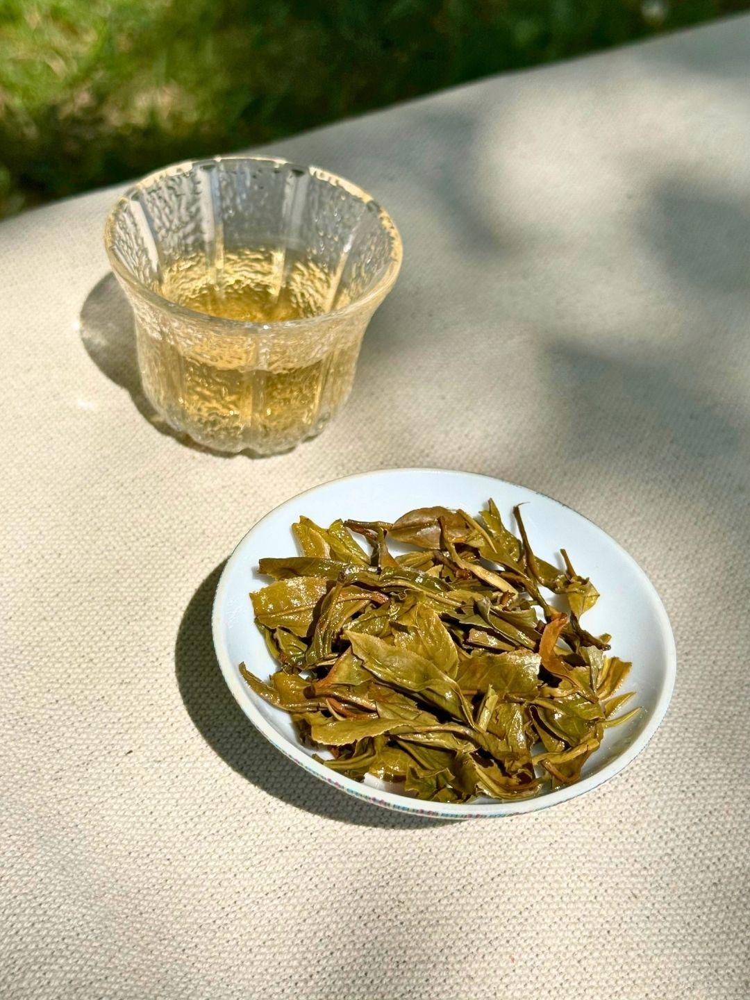 Spring Set First Flush tea: pale golden liquor in a fluted glass cup beside a dish of infused leaves, outdoors in dappled sunlight