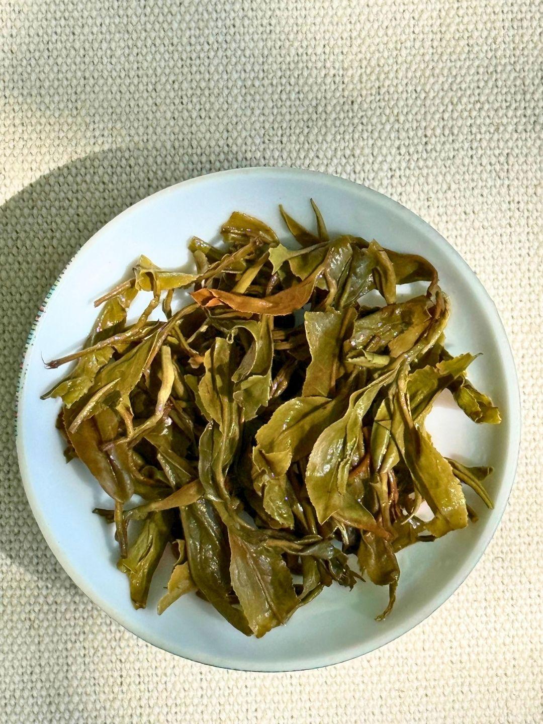 Whole leaves from the Spring Set unfurled after brewing, on a white plate over woven linen