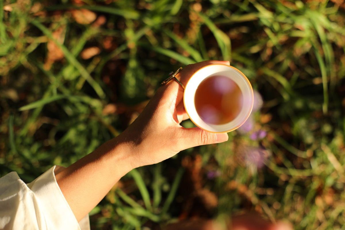 A hand holding a small white cup filled with amber-colored tea, set against a blurred background of green grass and sunlight.